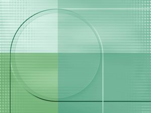 深入理解图像识别：底层机制一探究竟